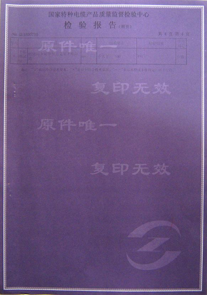 檢驗報告