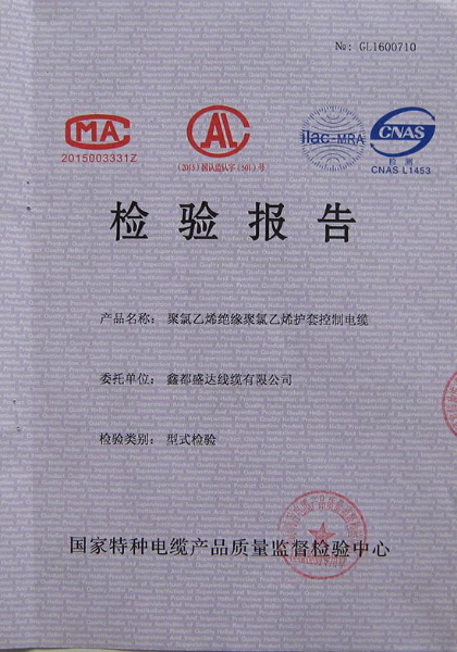 檢驗報告
